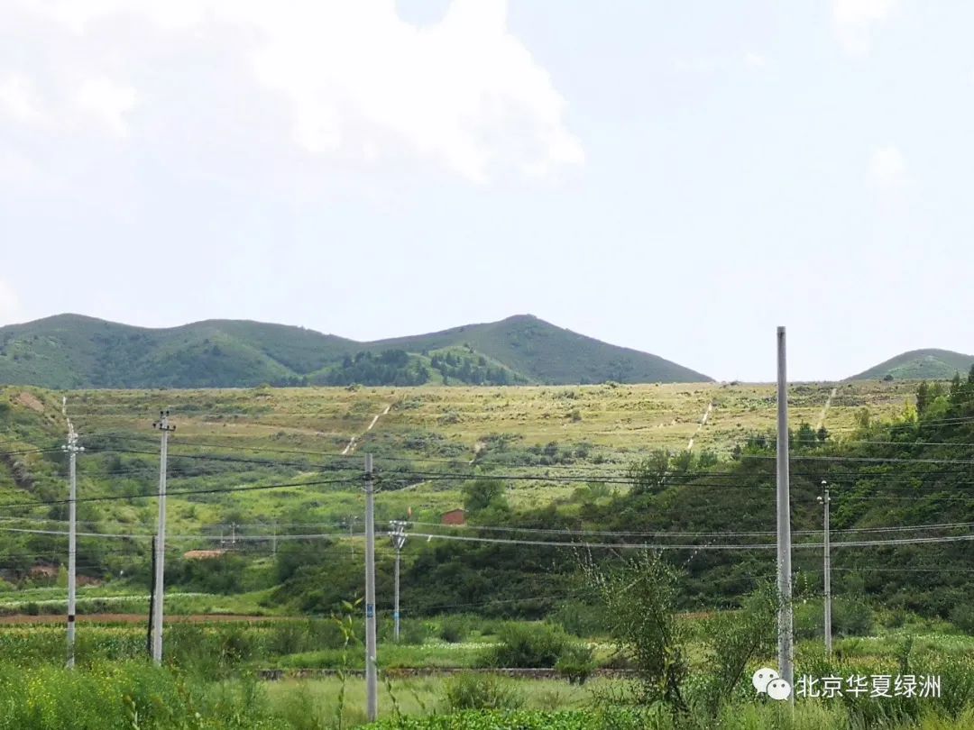 7个方面,解决矿山生态修复热点问题!的图10